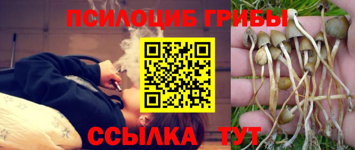 Галлюциногенные грибы мицелий  Вход с VPN  Лениногорск 