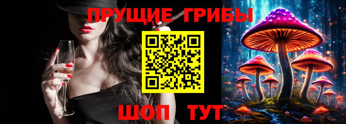 Псилоцибиновые грибы Psilocybe Лениногорск